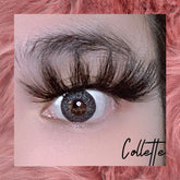 Collette - Lashpire